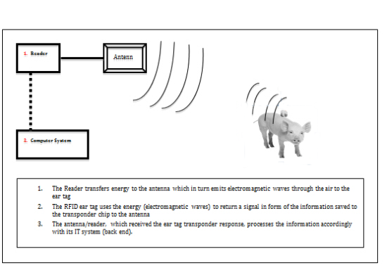 RFID Animal Tracking(image 1)
